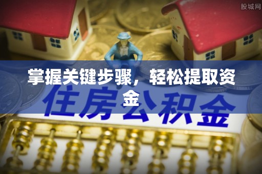 芮城掌握关键步骤，轻松提取资金