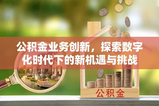 芮城公积金业务创新，探索数字化时代下的新机遇与挑战