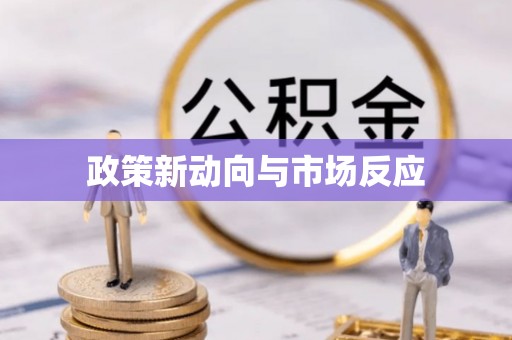 芮城政策新动向与市场反应