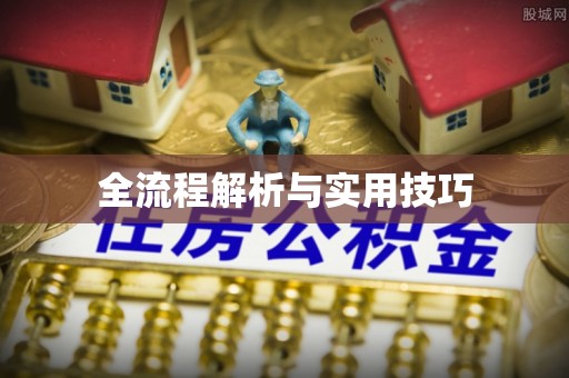 芮城全流程解析与实用技巧