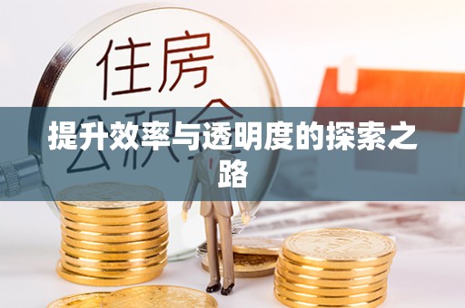 芮城提升效率与透明度的探索之路