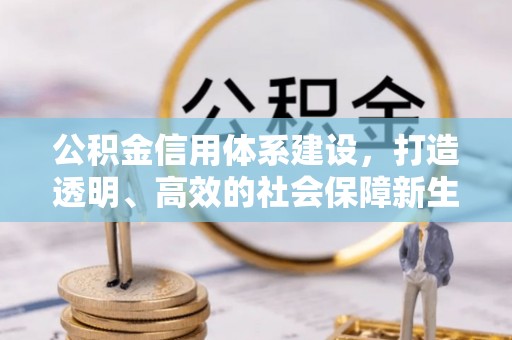 芮城公积金信用体系建设，打造透明、高效的社会保障新生态