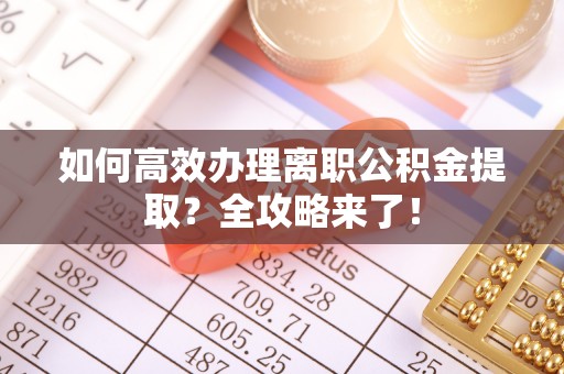 芮城如何高效办理离职公积金提取？全攻略来了！