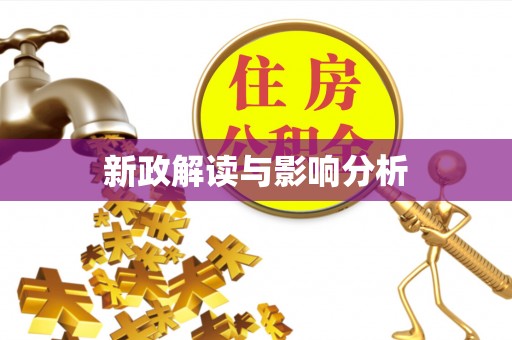 芮城新政解读与影响分析