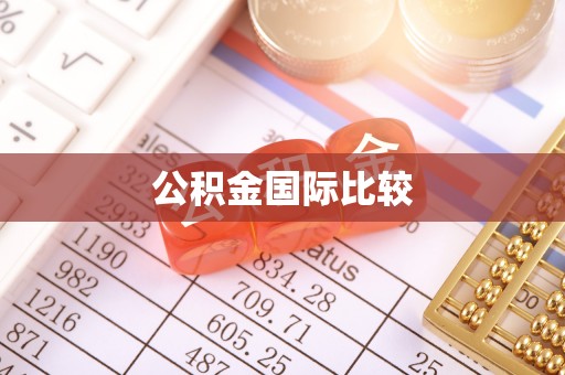 芮城公积金国际比较