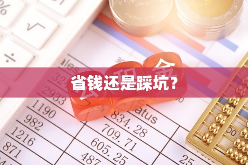 芮城省钱还是踩坑？