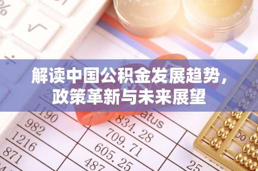 芮城解读中国公积金发展趋势，政策革新与未来展望