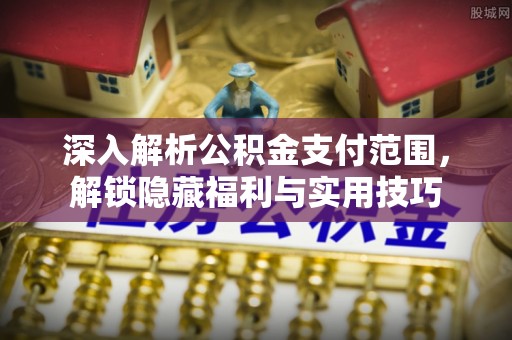 芮城深入解析公积金支付范围，解锁隐藏福利与实用技巧