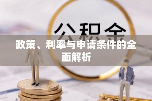 芮城政策、利率与申请条件的全面解析