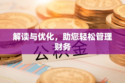 芮城解读与优化，助您轻松管理财务