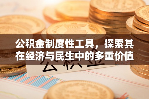 芮城公积金制度性工具，探索其在经济与民生中的多重价值