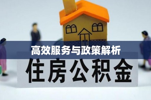 芮城高效服务与政策解析