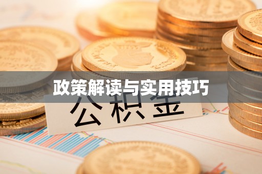 芮城政策解读与实用技巧