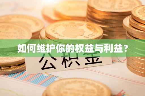 芮城如何维护你的权益与利益？