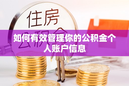 芮城如何有效管理你的公积金个人账户信息