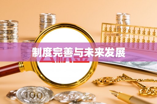 芮城制度完善与未来发展