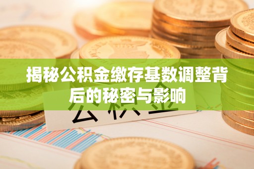 芮城揭秘公积金缴存基数调整背后的秘密与影响