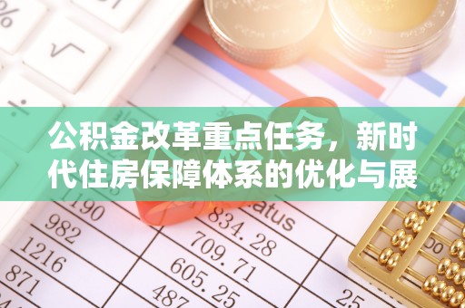 芮城公积金改革重点任务，新时代住房保障体系的优化与展望