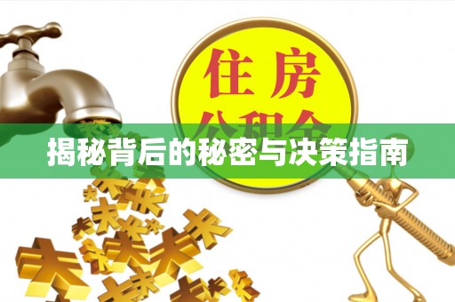 芮城揭秘背后的秘密与决策指南