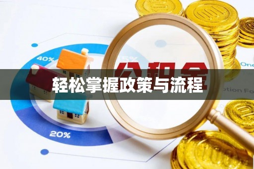 芮城轻松掌握政策与流程