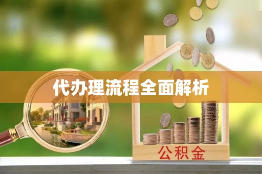 芮城代办理流程全面解析