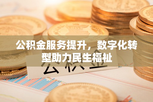 芮城公积金服务提升，数字化转型助力民生福祉