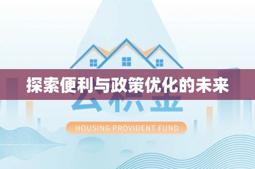 芮城探索便利与政策优化的未来