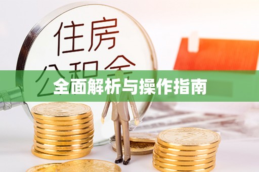 芮城全面解析与操作指南