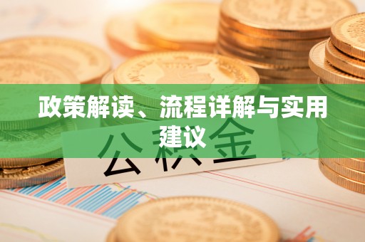 芮城政策解读、流程详解与实用建议