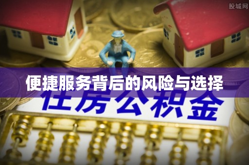 芮城便捷服务背后的风险与选择
