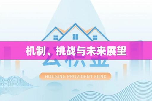 芮城机制、挑战与未来展望