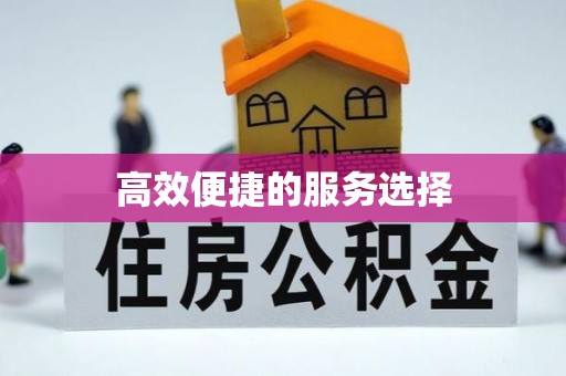 芮城高效便捷的服务选择