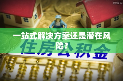 芮城一站式解决方案还是潜在风险？