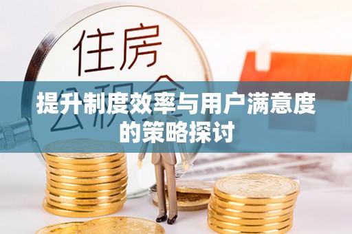 芮城提升制度效率与用户满意度的策略探讨