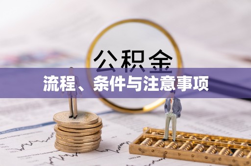 芮城流程、条件与注意事项