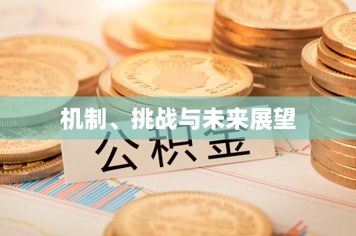 芮城机制、挑战与未来展望